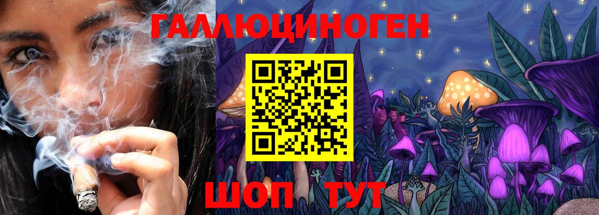 Псилоцибиновые грибы мухоморы Грозный
